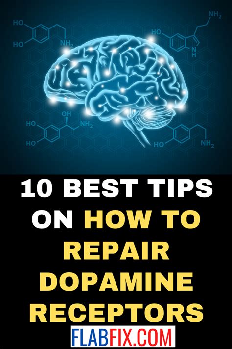 Sulbutiamine is very very good at replenishing <b>dopamine</b> <b>receptors</b> and is sold as a supplement. . How to repair dopamine receptors